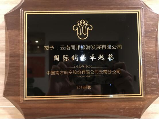 中国南方航空国际销售卓越奖