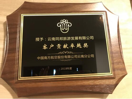 中国南方航空客户贡献卓越奖