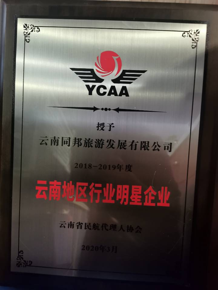 云南地区行业明星企业